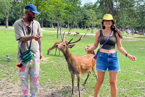 From Osaka/Kobe Port: Nara Private Tour with Guide & Driver Private Nara Tour for Maximum 5 Travelers in the Group