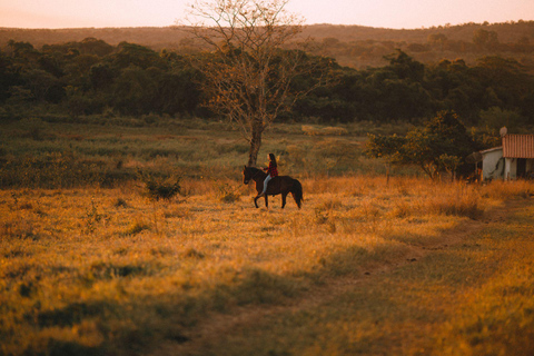 Ibiza: Evening Horseback Ride & Hotel Pickup Ibiza: Golden Hour Horseback Ride & Hotel Pickup