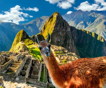 Machu Picchu: Entrada oficial