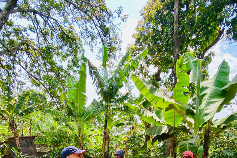 A Day Trip To Materuni Waterfalls And Coffee Experience