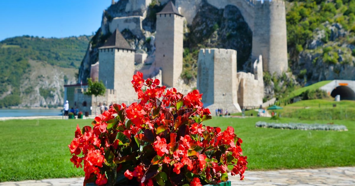 From Belgrade Danube Tour and Iron Gate National Park GetYourGuide