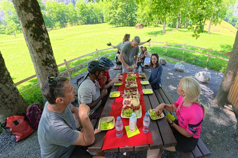 إنترلاكن: جولة في وادي الشلالات الـ 72 وجولة بالدراجة الإلكترونية في لوتربرونن