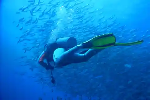 Las Catalinas Islands: Discover Scuba Dive Trip