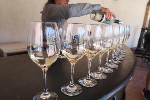 Wine Tour with 7 Tastings + Private Transport + Lapis Lazuli