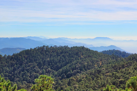 Oaxaca: Sierra Norte Ixtepeji Guided Hike & Lunch, Half-Day