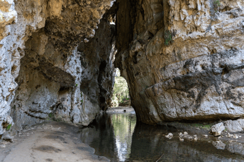 Chiapas: Grutas de Rancho Nuevo and Arcotete Half-Day Tour