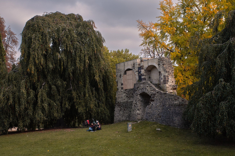 Leuven Bike Tours: Highlights & Beyond + café + bike rental The Leuven Highlights & Beyond (public tour)