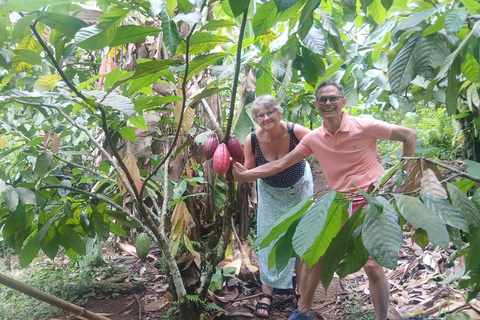Gangga: Half-Day Heritage, Waterfall & Food Experience