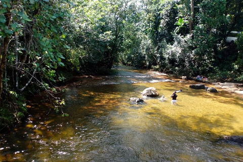 From Colombo: Kanneliya Rainforest Waterfalls Tour with Swim