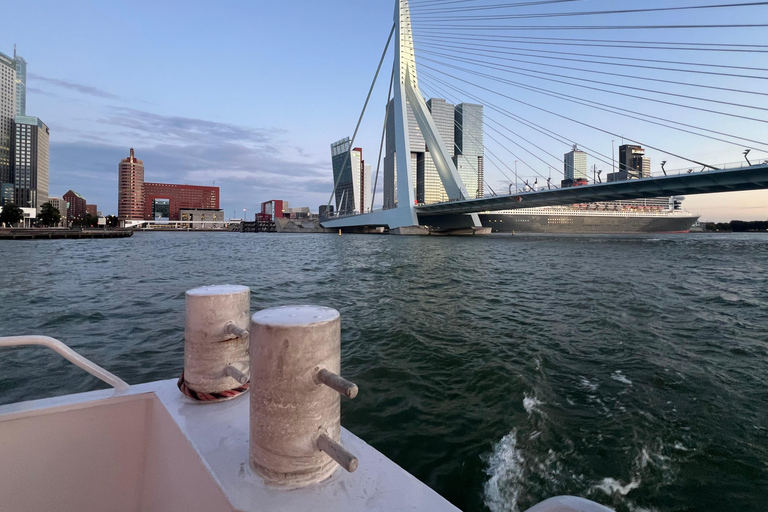 Port of Rotterdam Cruise with Lunch Option