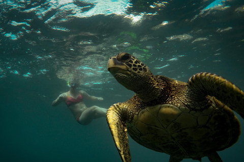 Honolulu: Private Waikiki Boat Cruises for up to 6 People