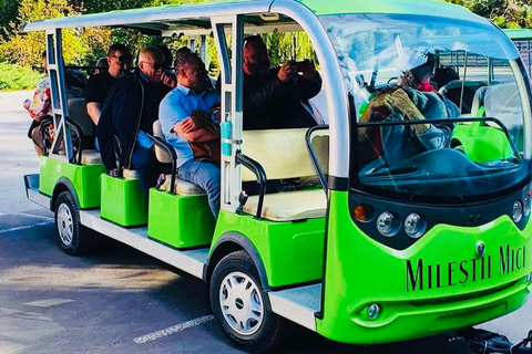 Depuis Chisinau : visite des vignobles de Cricova et de Milestii Mici