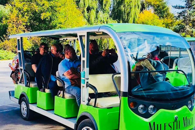 Depuis Chisinau : visite des vignobles de Cricova et de Milestii Mici