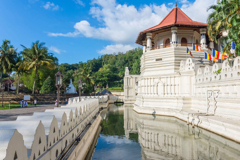 Z Kolombo: Kandy i Pinnawala - wycieczka 1-dniowa