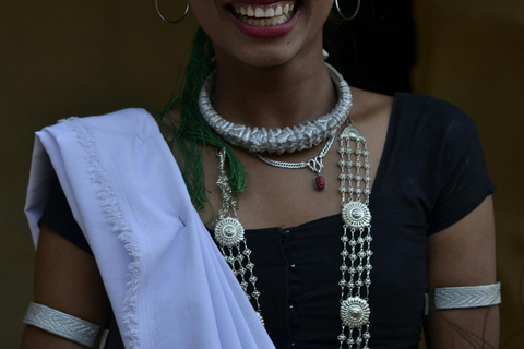 Séjour d&#039;une nuit à la tour et excursion dans le parc national de Chitwan