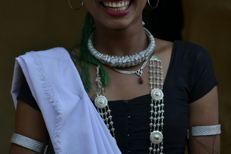 Séjour d&#039;une nuit à la tour et excursion dans le parc national de Chitwan