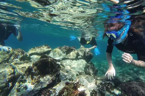 Snorkeling in a Volcanic Bay