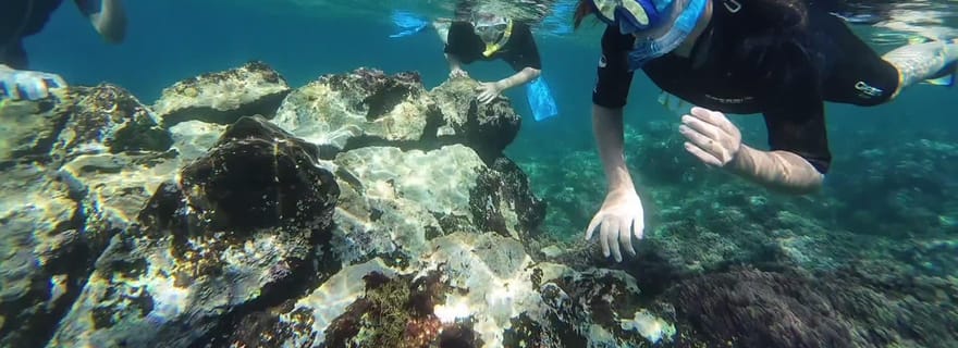 Plongée en apnée dans une baie volcanique