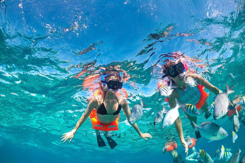 Cancun: Premium Catamaran with Transportation & Dock fee