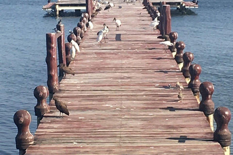 Kisumu: Rusinga Island Fish BBQ & Luanda Magere Tour