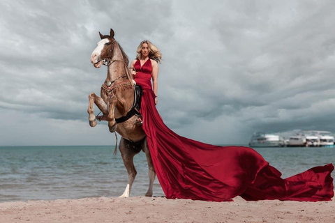 الغردقة: جولة ركوب الخيل في الصحراء والبحر مع خيار السباحةجولة لمدة ساعتين لركوب الخيل بدون السباح