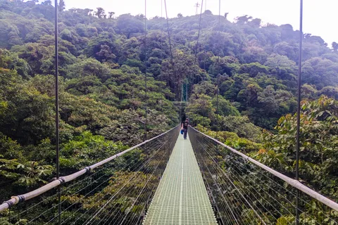 Monteverde: Hanging Bridges in the Cloud Forest Guided Tour