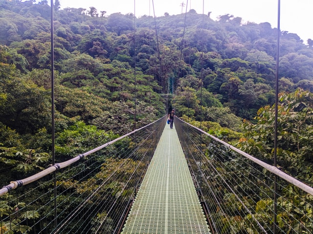 Monteverde: Hangbruggen in het nevelwoud rondleiding