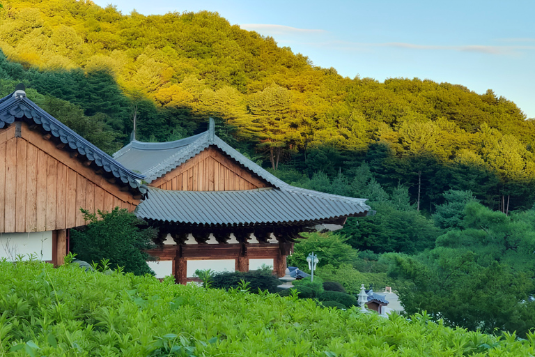 From Seoul: Buddhist Temple Experience & Nami Island Tour Group tour from Hotel the Designers Dongdaemun
