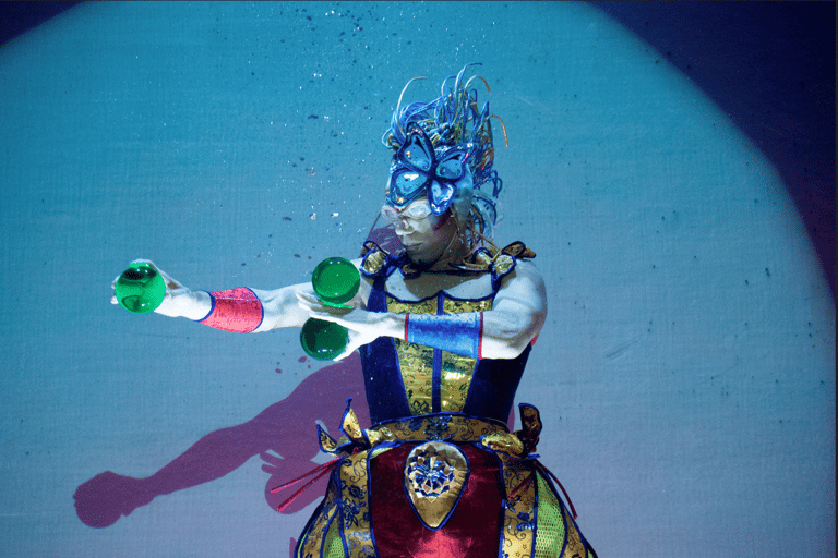 Cirque du Soleil LUDÕ — Vallarta Premium Balcony Experience: Show, Champagne, and Canapés
