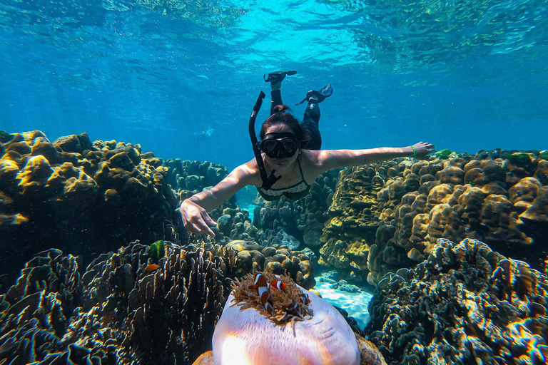 Krabi: Phi Phi Islands and Railay Sunset Tour