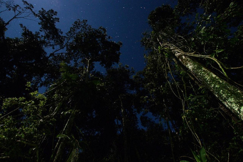 Manaus : Focus sur la nuit