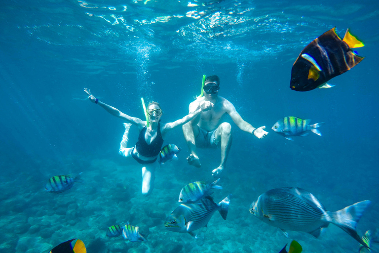 Vallarta: Yelapa Waterfall & Majahuitas Snorkel Adventure