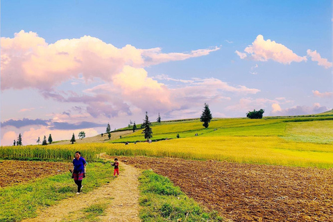 3-Day Deluxe Ha Giang Loop to All Highlights, Stay Resort 4* Tour with 2-way Limousine Tickets included