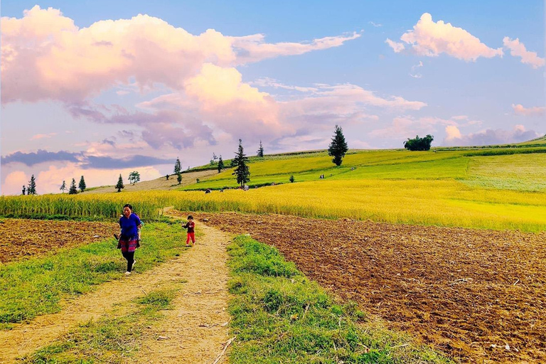 3-Day Deluxe Ha Giang Loop to All Highlights, Stay Resort 4* Tour with 2-way Limousine Tickets included