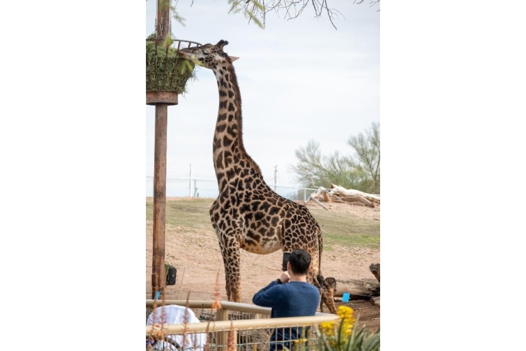 Phoenix Zoo: Allgemeine Eintrittskarte für einen Tag