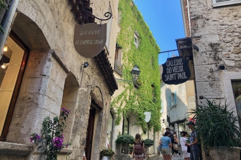 Au départ de Nice : Visites guidées d'une journée en Provence et dégustation de vinsVisite privée