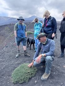 Catania: Etna 2000 m & Alcantara Gorges Hiking Tour, Pick-up