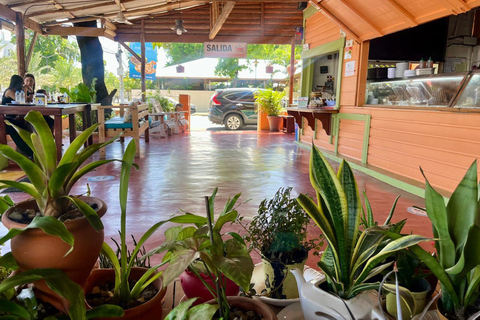 Sabor Dominicano: Rum, Chocolate and Culture Private Tour Sabor Dominicano: Rum, Chocolate and Culture Private Tour