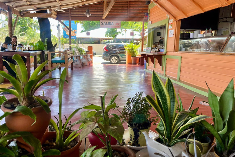 Sabor Dominicano: Rum, Chocolate and Culture Private Tour Sabor Dominicano: Rum, Chocolate and Culture Private Tour