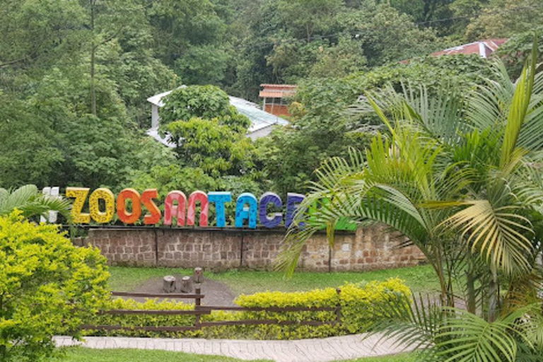 FROM BOGOTA: Natural Adventure to Salto de Tequendama and Santacruz Zoo