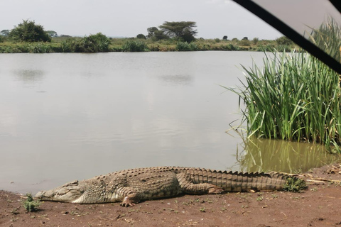 Nairobi: National Park Tour Experience