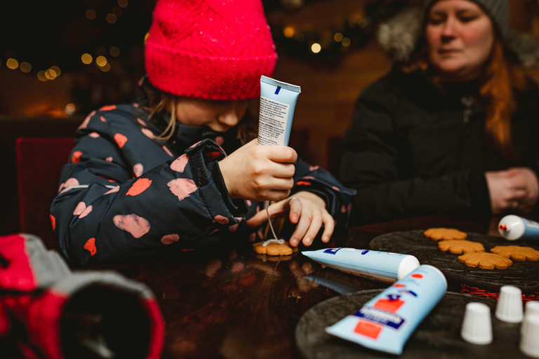 Levi：Arcandia，精灵法庭/日光和公园/黑暗精灵法庭：3 小时体验和公园之旅