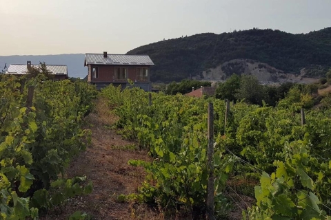 Ohrid - Dégustation de vin au domaine viticole S&SOhrid - Dégustation de vin dans une cave S&S