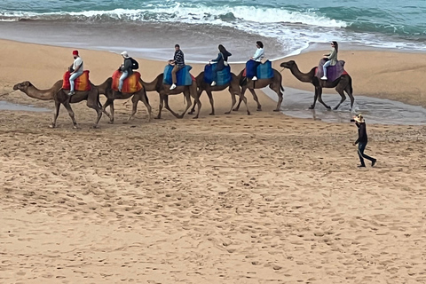 Explore Tangier: Guided City Tour and Seaside Camel Ride Pick up from the cruise terminal