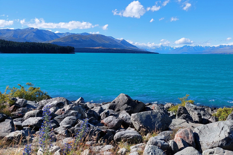 4 dagars NZ-tur på södra ön från Queenstown till ChristchurchUtan inträdesbiljetter för aktiviteter och boende