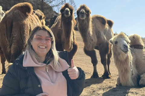 Mongolia: Genghis Khan Statue & Terelj National Park Tour