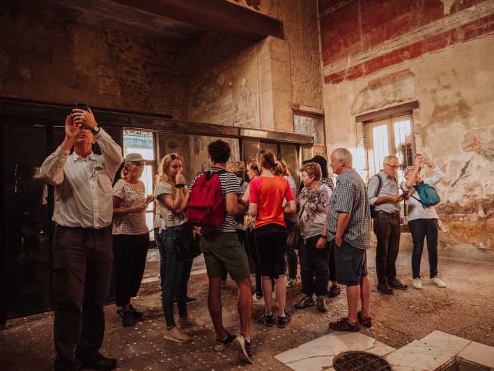 Escursione a terra a Pompei ed Ercolano con archeologo