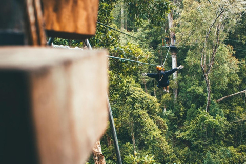 Magaliesberg: Ysterhout Gorge Zipline Crossing with Transfer
