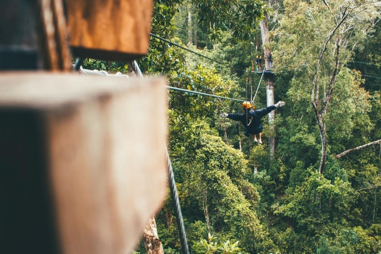 Magaliesberg: Ysterhout Gorge Zipline Crossing with Transfer