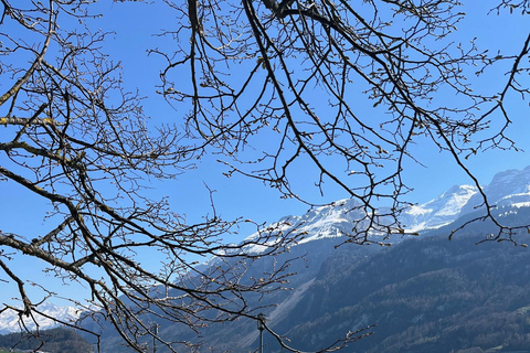 Von Basel aus: Private Tour zu den Alpen, Wasserfällen und Seen